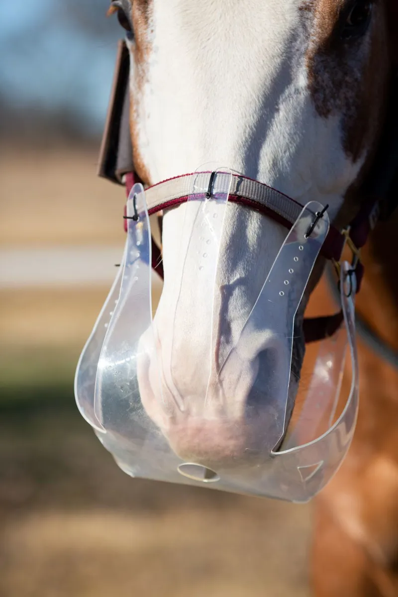 ThinLine Flexible Filly Grazing Muzzle