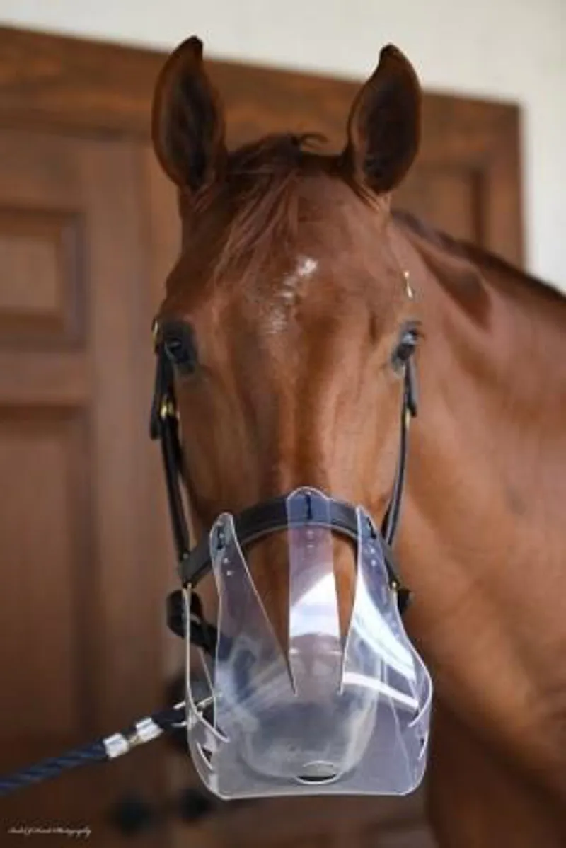 ThinLine Flexible Filly Grazing Muzzle-1