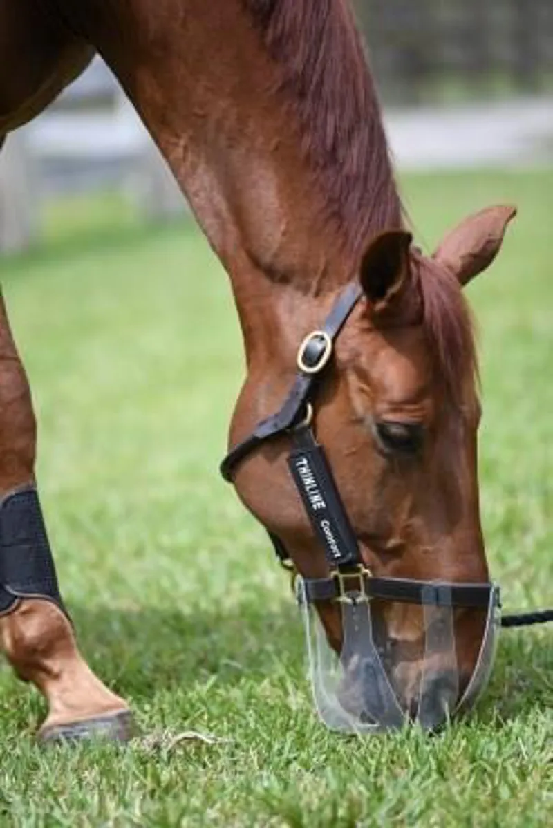 ThinLine Flexible Filly Grazing Muzzle-4