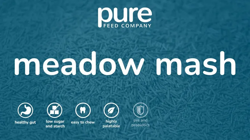 Pure Feed Company Meadow Mash Hay Replacer 15kg-4