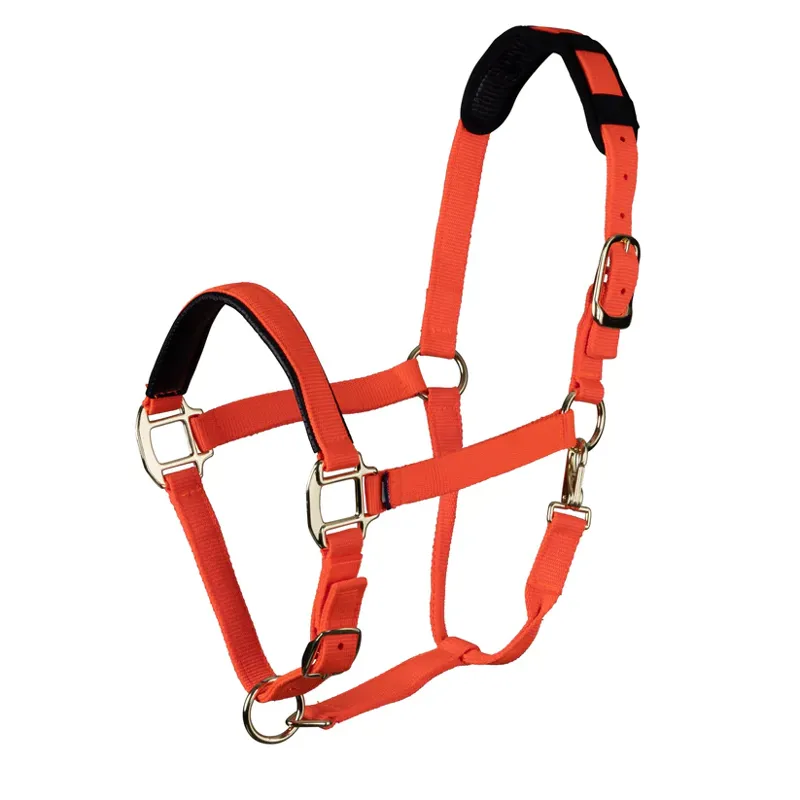 Shires Topaz Nylon Headcollar in Orange - WEB EXCLUSIVE
