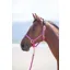 Shires Topaz Nylon Headcollar in Raspberry - WEB EXCLUSIVE