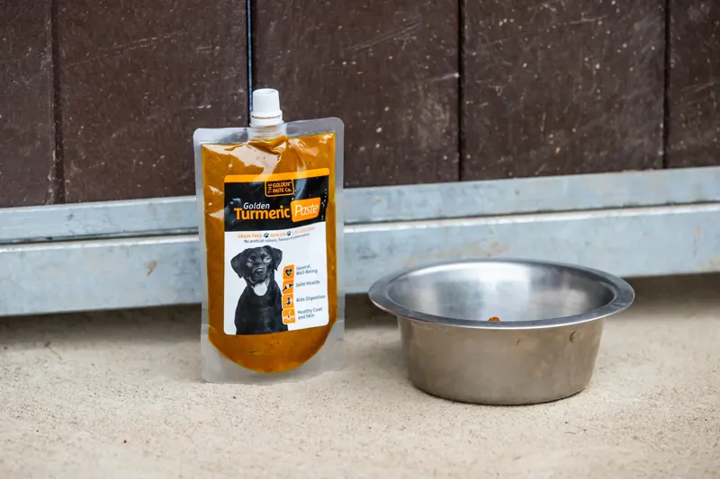 Golden Paste Company Turmeric Paste for Dogs - WEB EXCLUSIVE-4