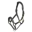 Velociti RAPIDA Comfort Leather Headcollar in Black