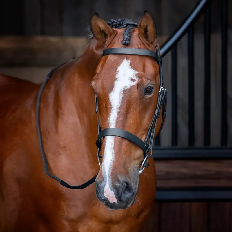 Velociti RAPIDA Hunter Cavesson Bridle in Black