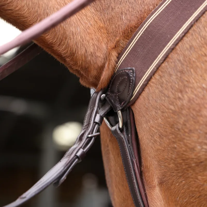 Velociti Lusso Three Point Elastic Breastplate in Havana-1