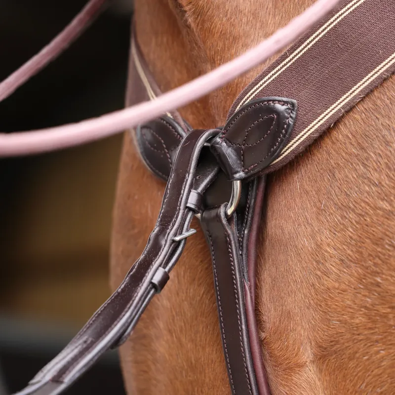 Velociti Lusso Three Point Elastic Breastplate in Havana-4