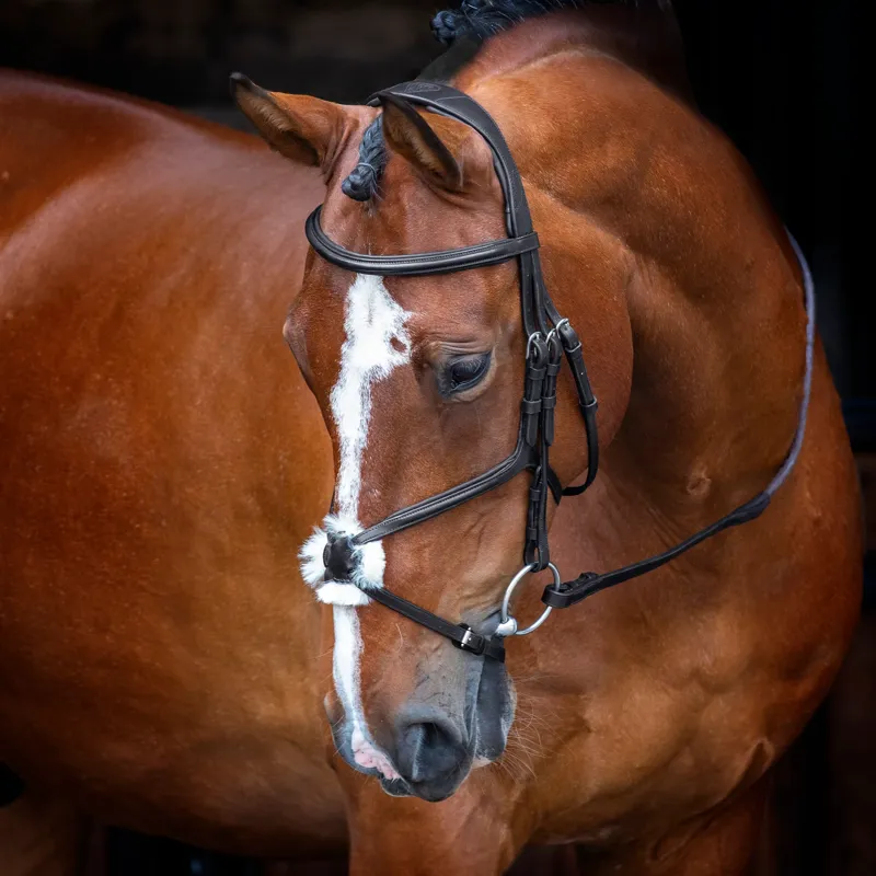 Velociti RAPIDA Grackle Bridle in Black