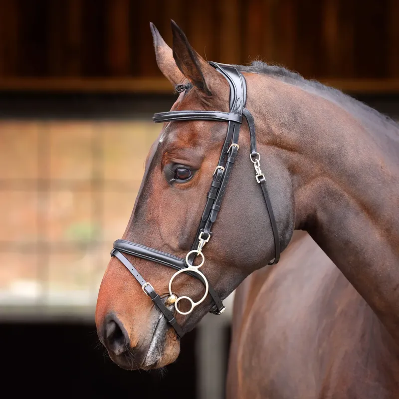 Velociti RAPIDA Training Bridle in Black