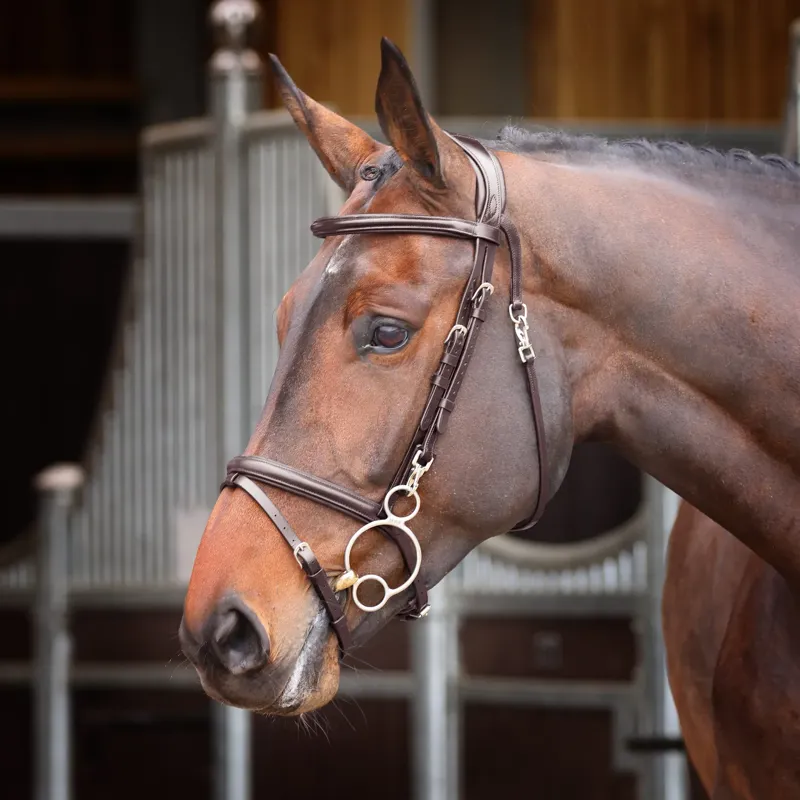 Velociti RAPIDA Training Bridle in Havana