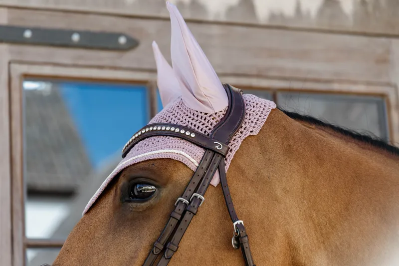 Kentucky Velvet Wellington Fly Veil in Old Rose-2