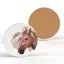 Vivid Squid 'Chesnut Horse' Ceramic Round Coaster