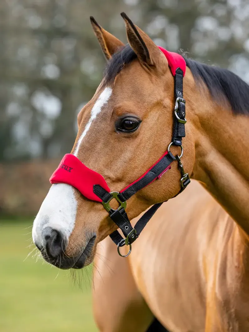 LeMieux Vogue Headcollar and Leadrope in Chilli-6