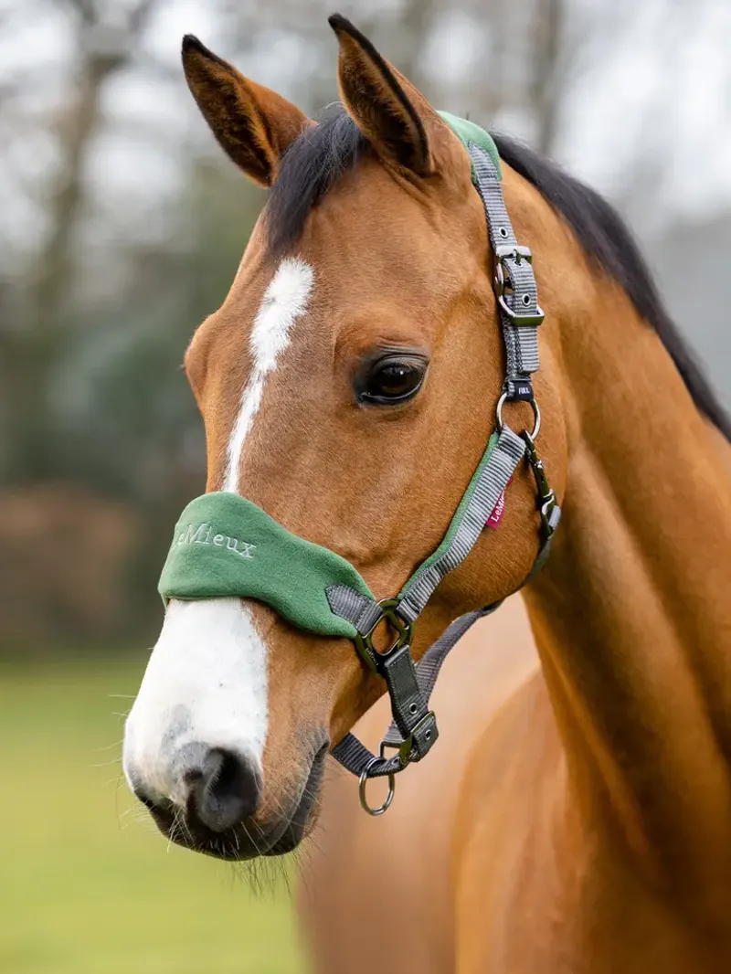 LeMieux Vogue Headcollar and Leadrope in Hunter Green-6