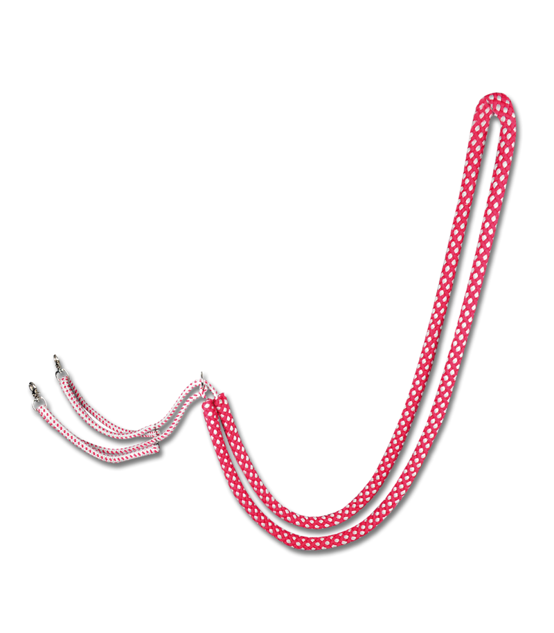 Waldhausen Lunging Aid in Red and Grey-2