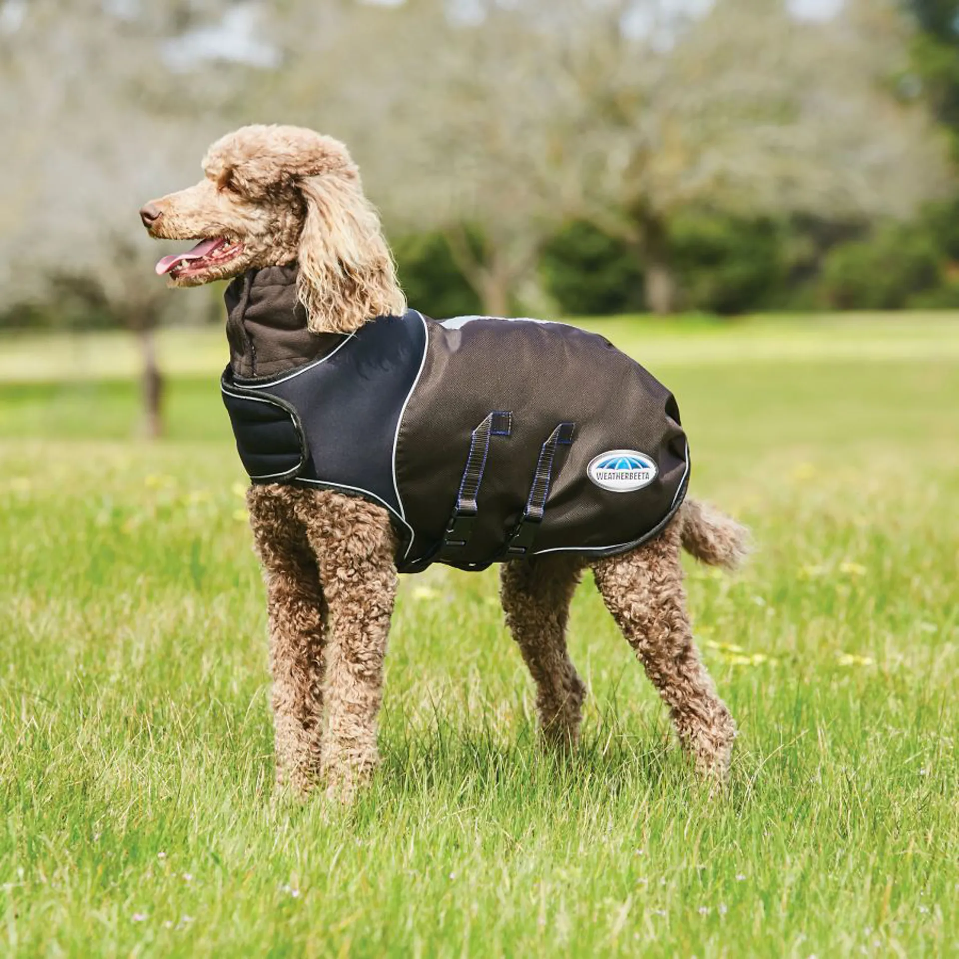 Weatherbeeta Comfitec Ultra Cozi Medium/Lite Dog Coat