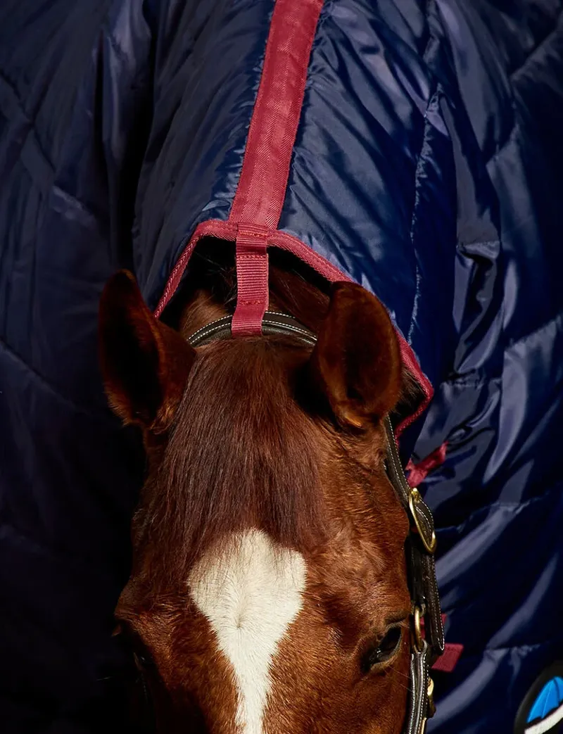 Weatherbeeta Comfitec 210D Quilt Combo 360g Stable Rug in Navy-4