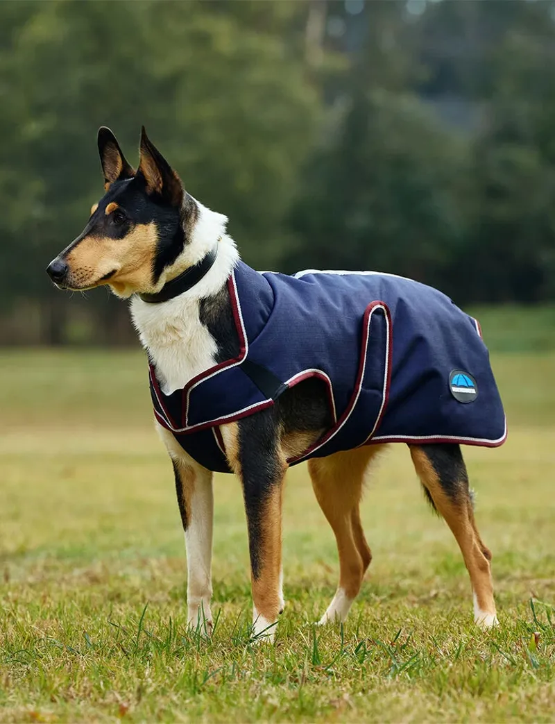 Weatherbeeta Comfitec Deluxe Waterproof Dog Coat in Navy and Burgundy-3
