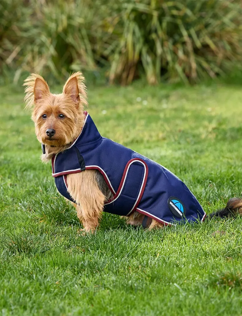 Weatherbeeta Comfitec Deluxe Waterproof Dog Coat in Navy and Burgundy-4