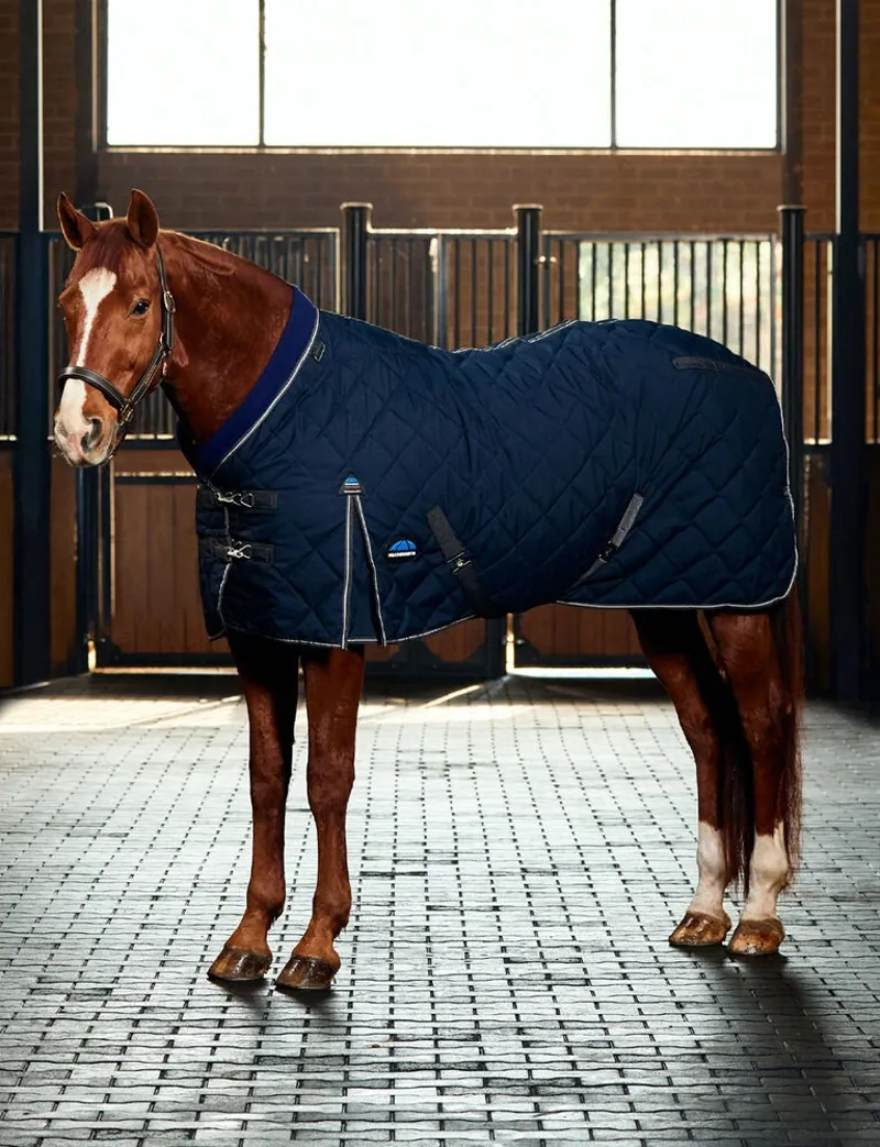 Weatherbeeta Comfitec 1000D Diamond Quilt Detach-a-Neck 220g Stable Rug-1