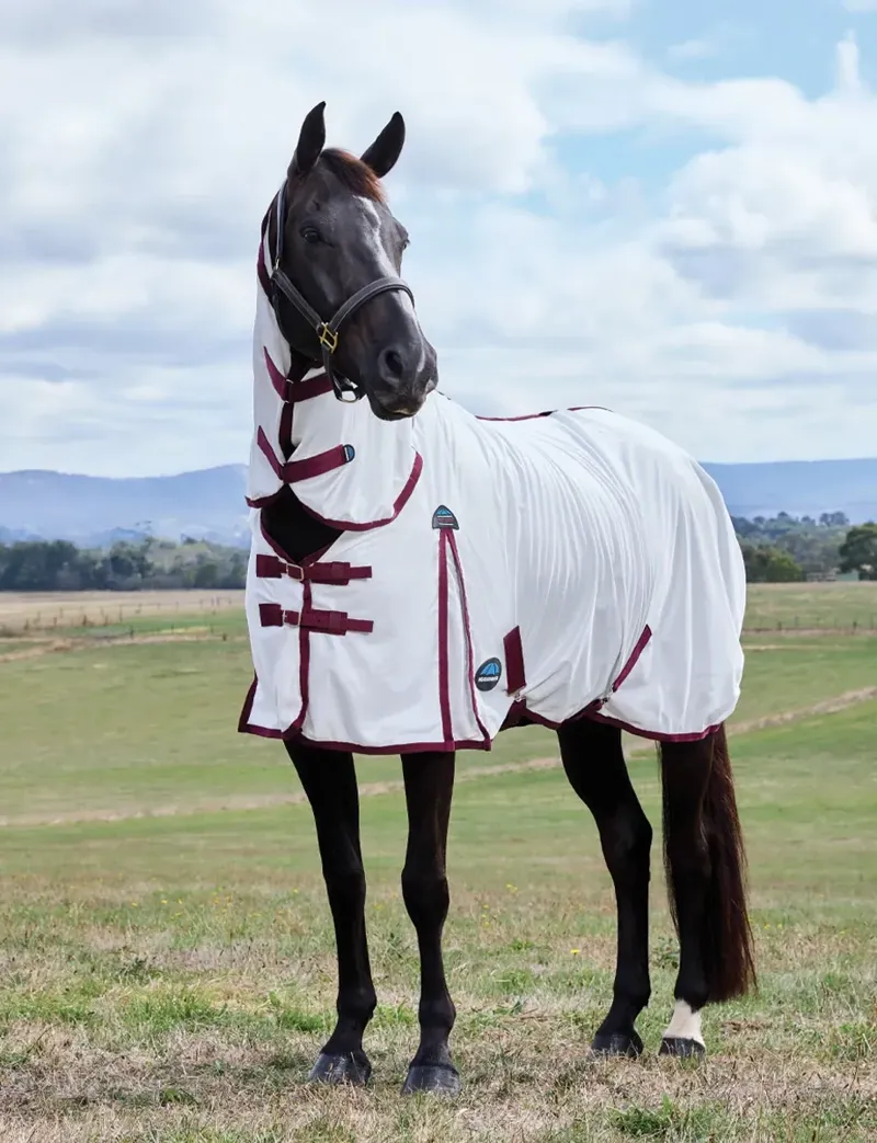 Weatherbeeta ComFiTec Essential Fly Sheet Combo - White-3