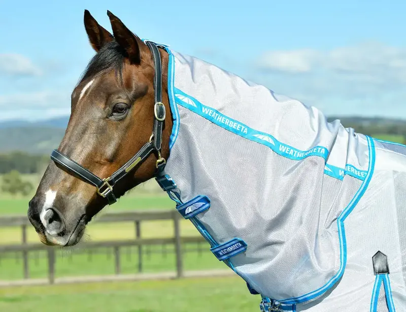 Weatherbeeta Comfitec Hexi Shield Combo Fly Rug in Silver and Teal Blue-2