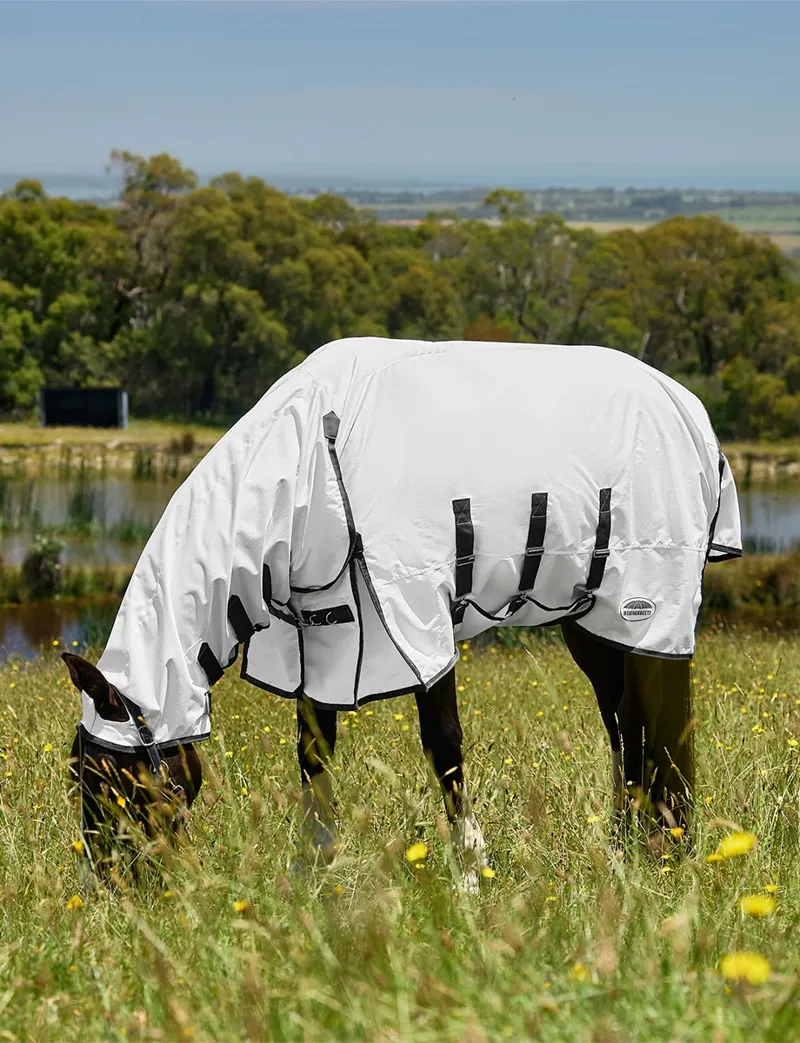 Weatherbeeta ComFiTec Sweet Itch Shield Fly Sheet Combo in White-2