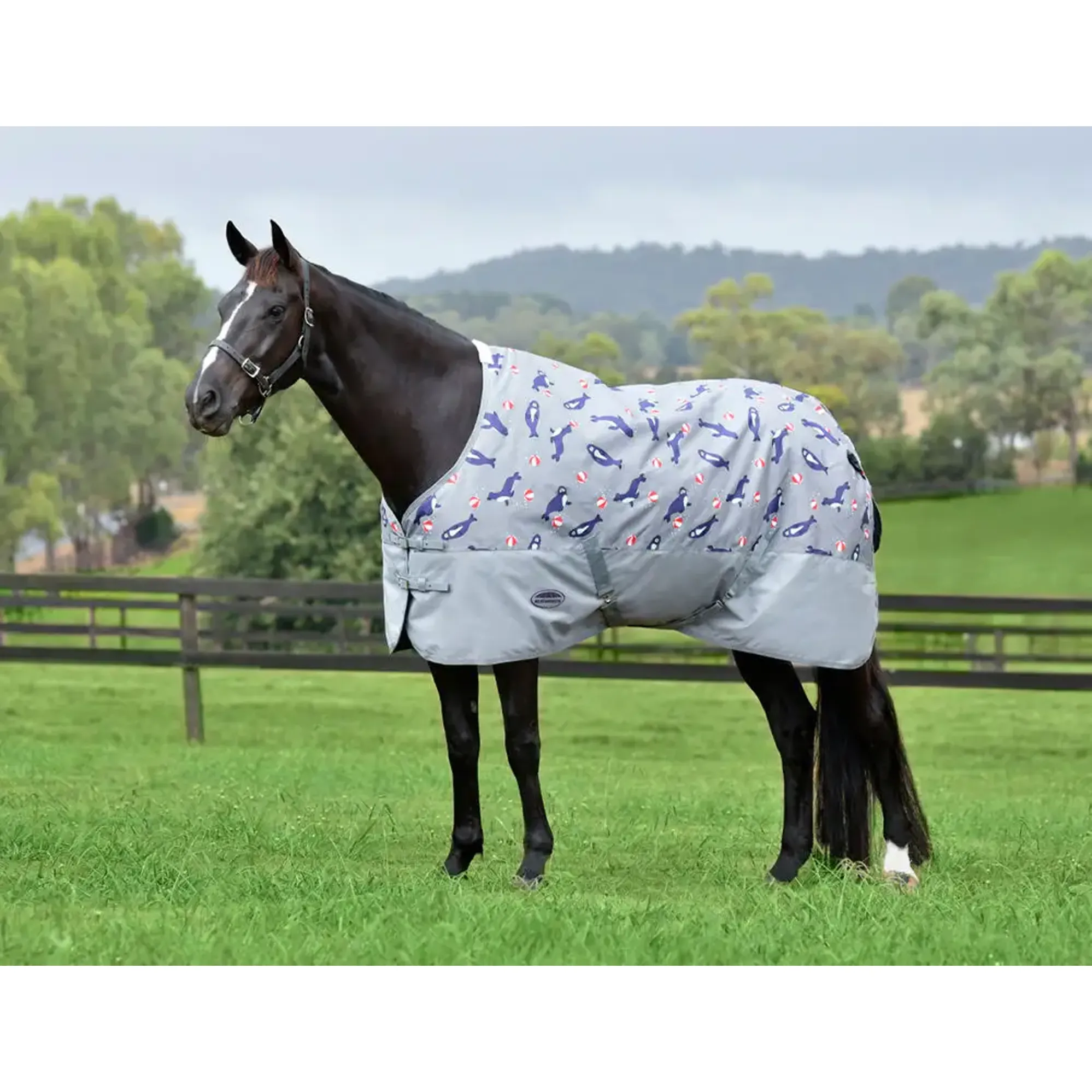 Weatherbeeta Turtle Rug Weatherbeeta ComfiTec Tyro Lite Plus Turnout Rug in Seal Print
