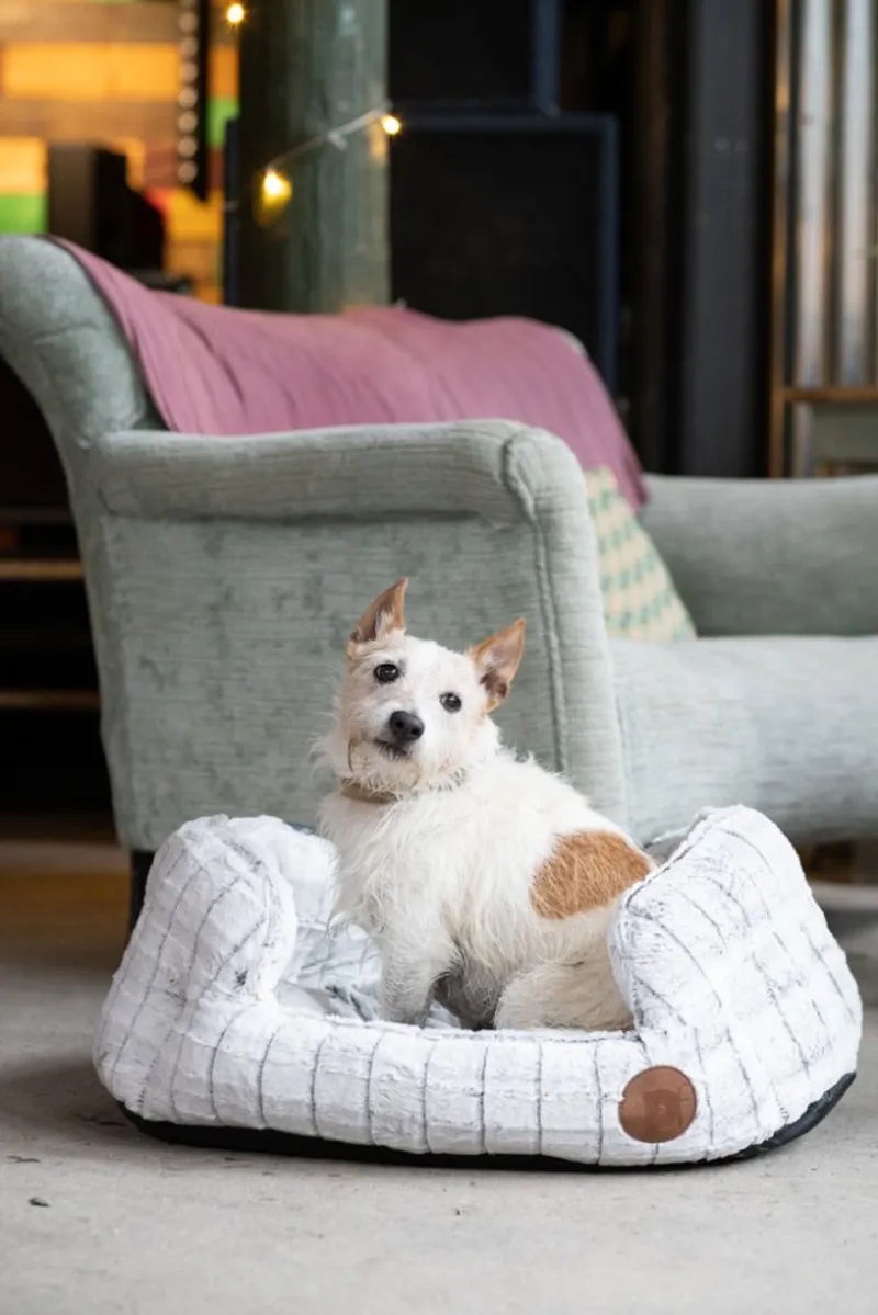 Petface Plush Oval Dog Bed in White-2