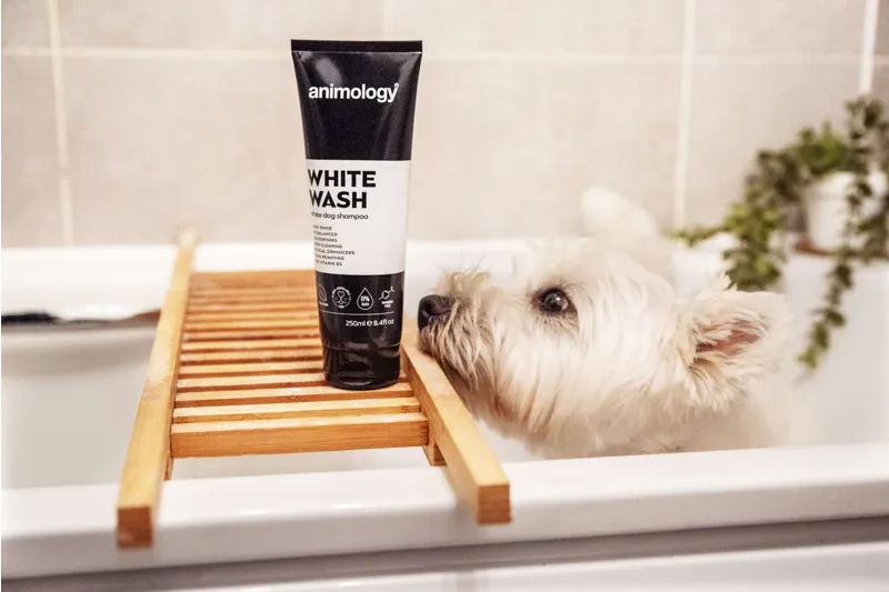 Animology White Wash Dog Shampoo 250ml-1
