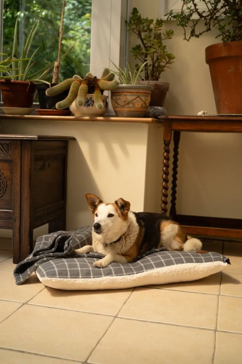 Petface Window Pane Dog Mattress in Grey-4