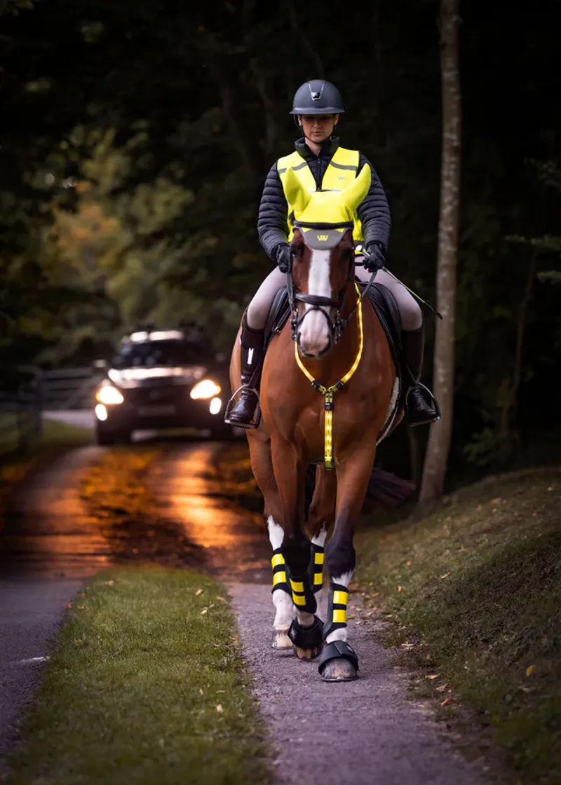 Woof Wear 3 in 1 Rider Safety Lights-4