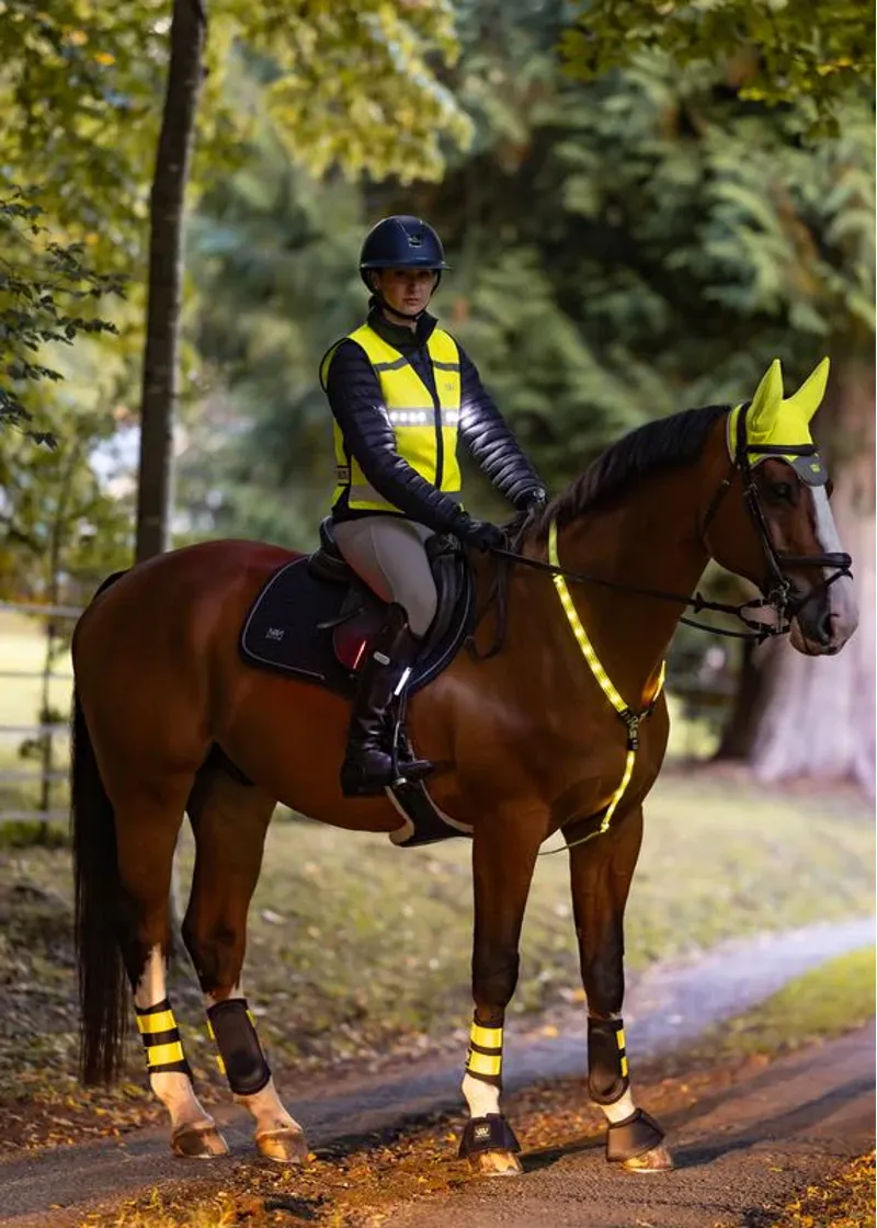 Woof Wear LED Hi Vis Riding Vest Adults in Yellow-3