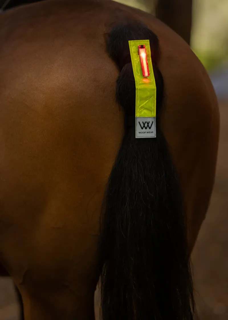 Woof Wear LED Hi Vis Tail Light in Yellow-1