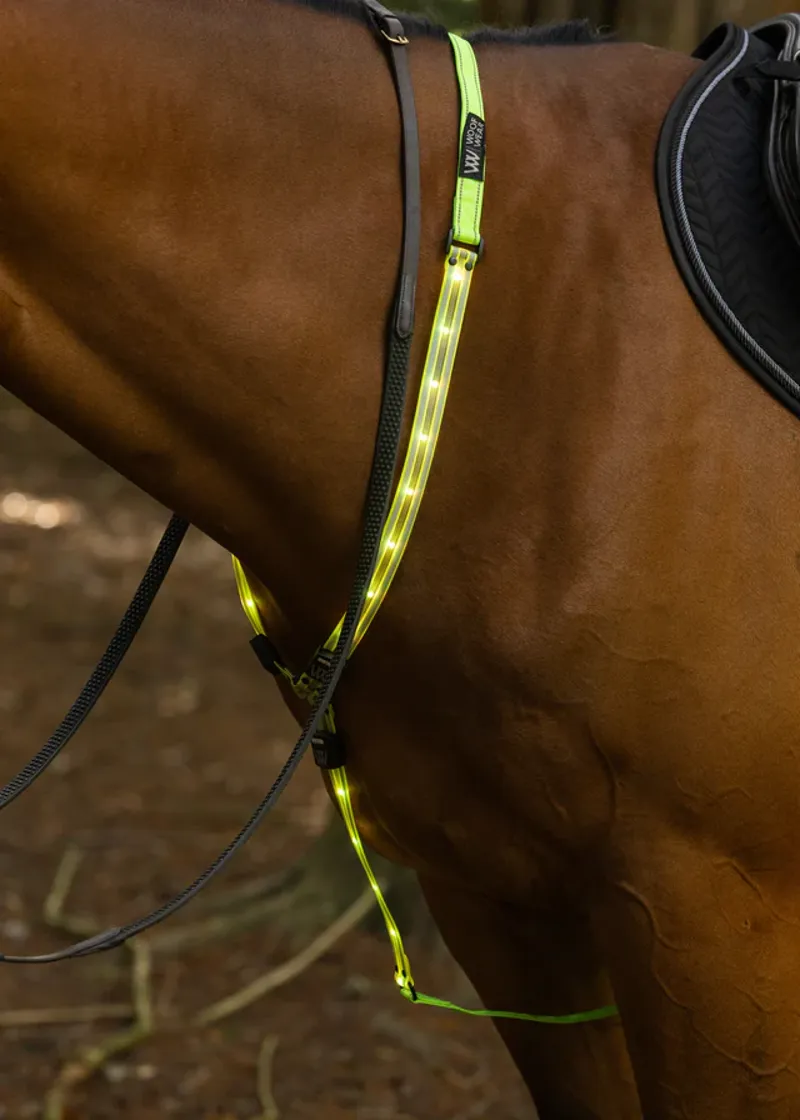 Woof Wear LED Neck Band in Hi Vis Yellow-2