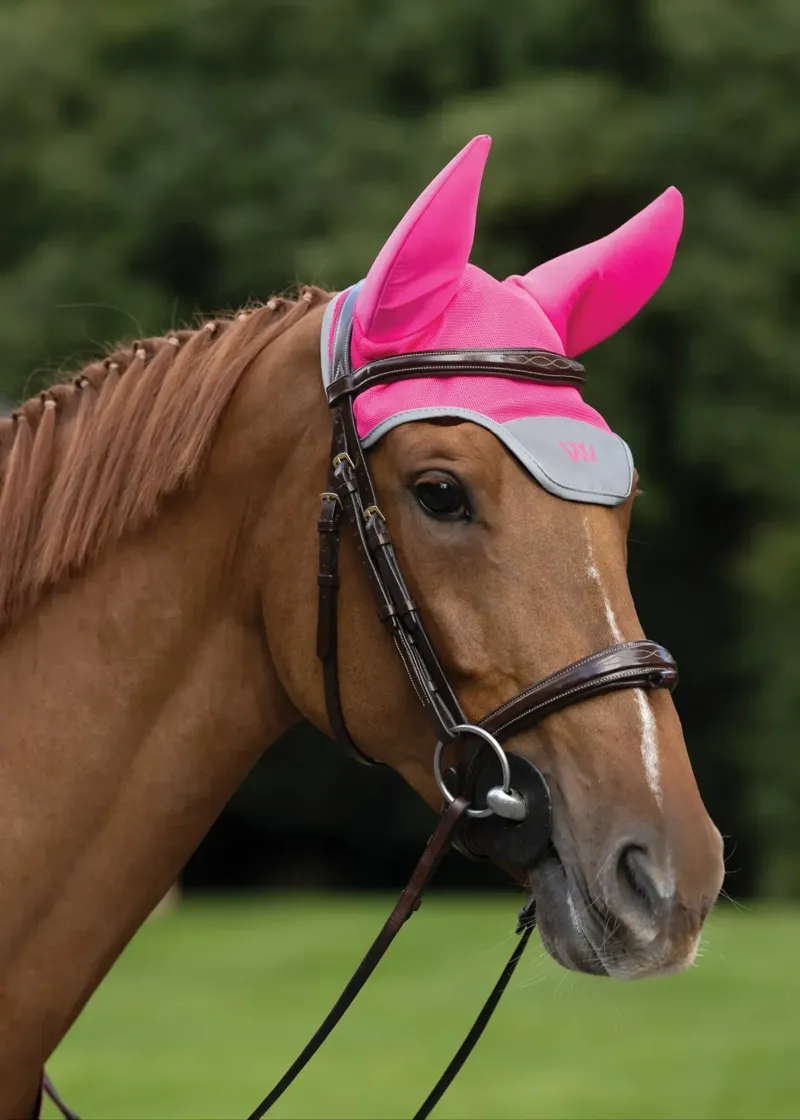 Woof Wear Noise Cancelling Fly Veil in Hi Viz Pink-1