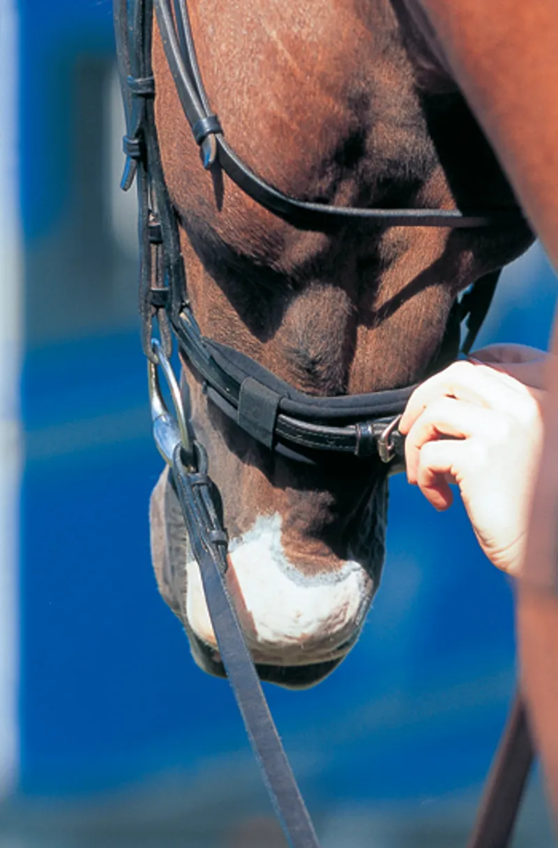 Prolite Noseband Cushion One Size Black