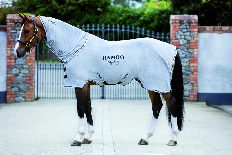 Horseware Rambo Dry Rug Grey
