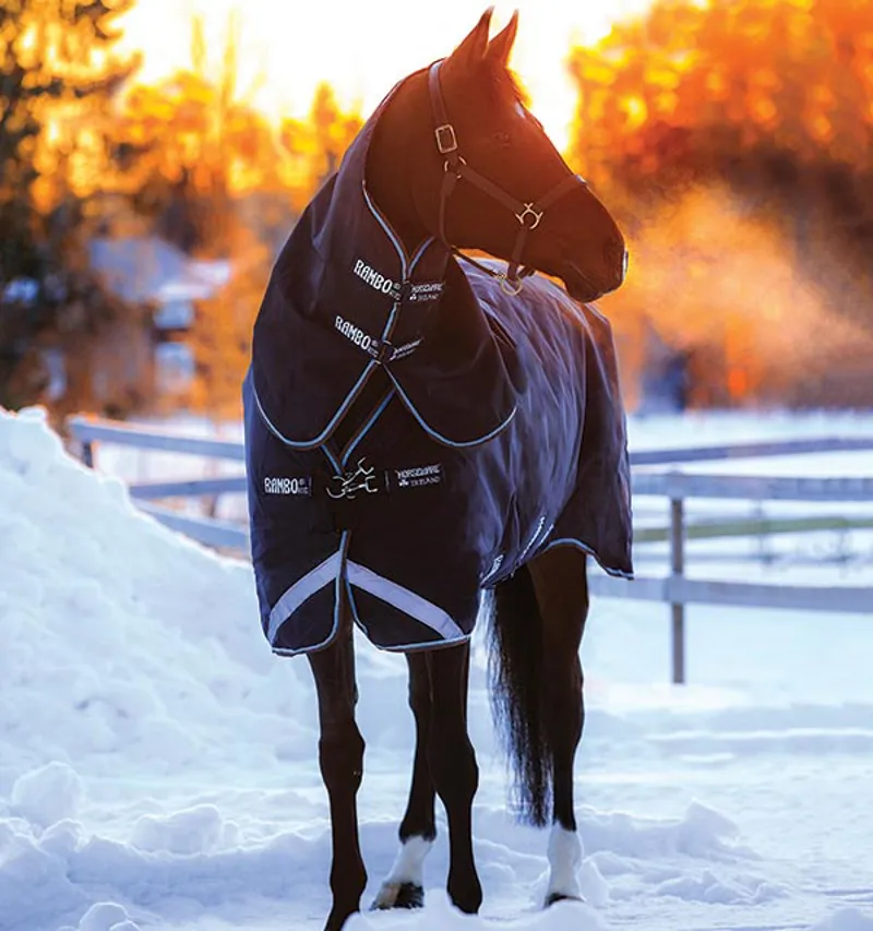 Rambo Duo Turnout Horse Rug in Navy