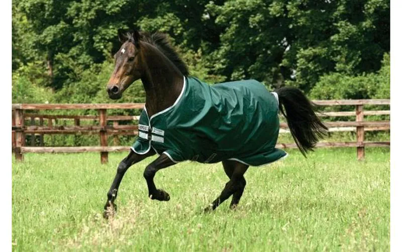 Rambo Original Heavy