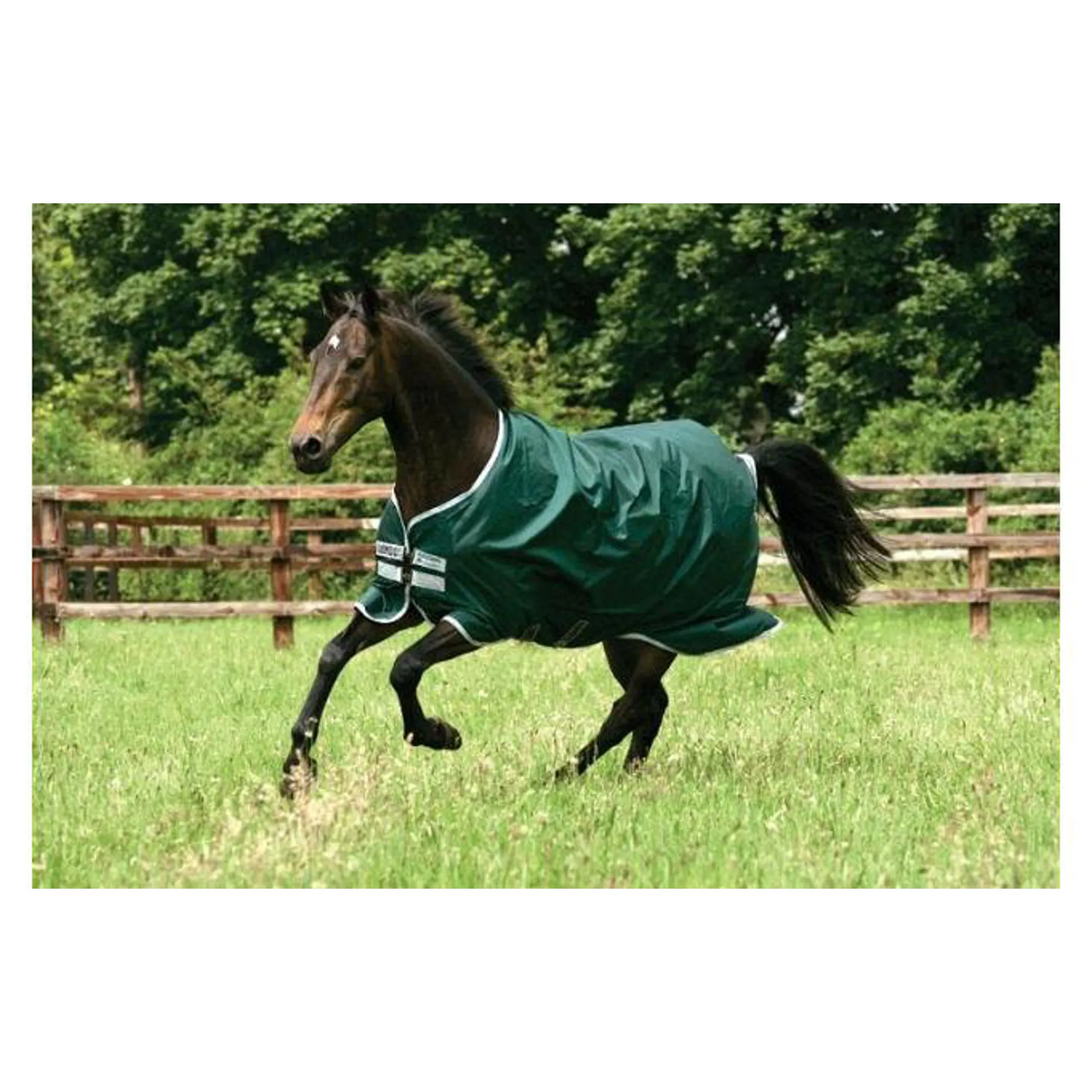 Rambo Original Heavy