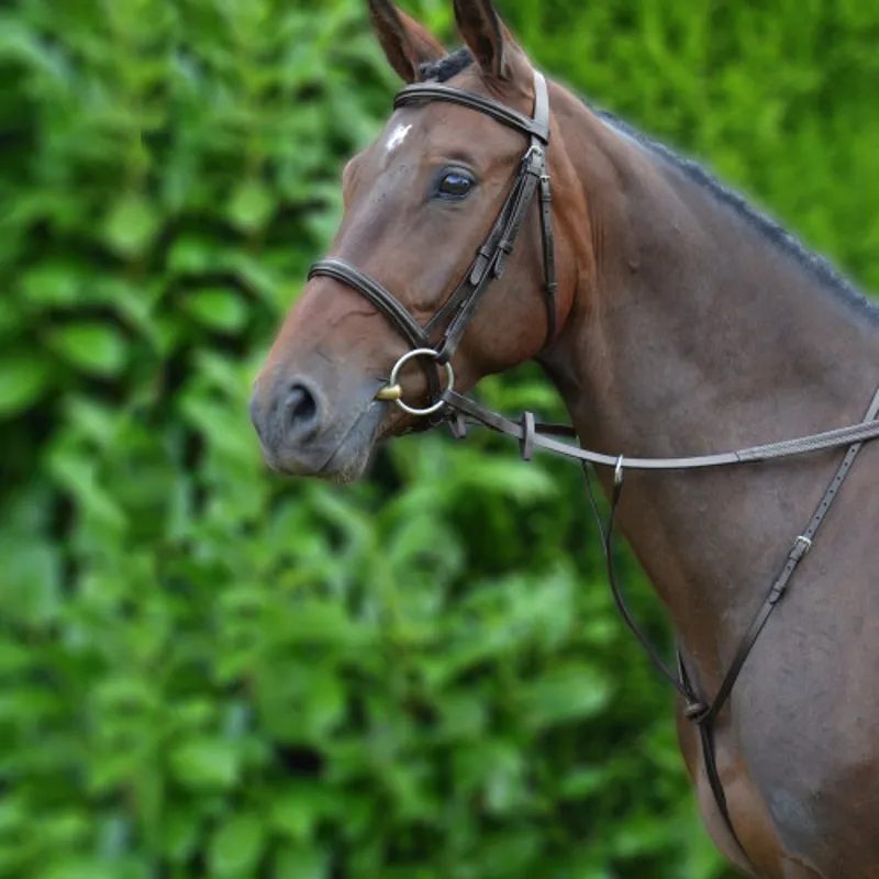Hy Equestrian Running Martingale in Brown