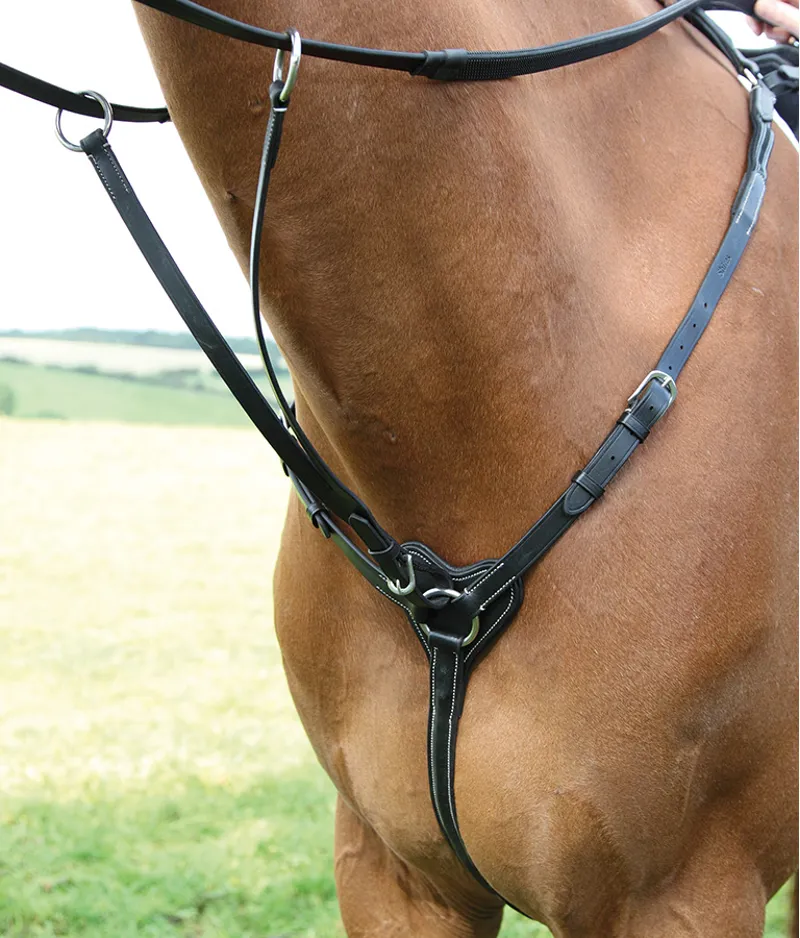 Salisbury Three Point Breastplate in Black
