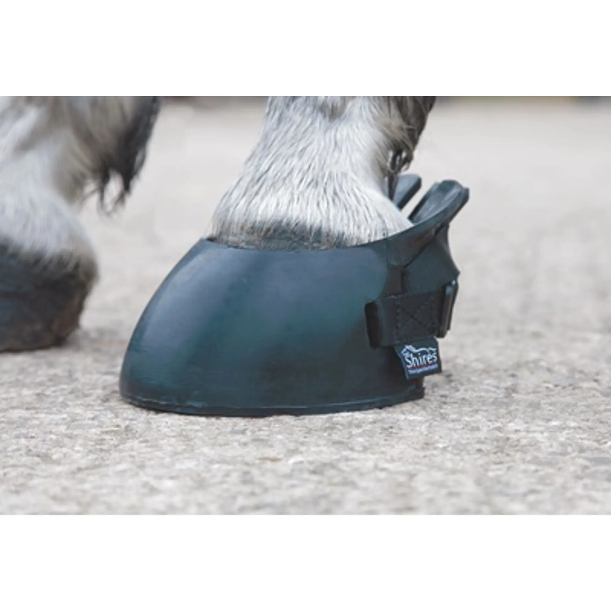 Shires Boot Tree Shires Temporary Shoe Boot in Black