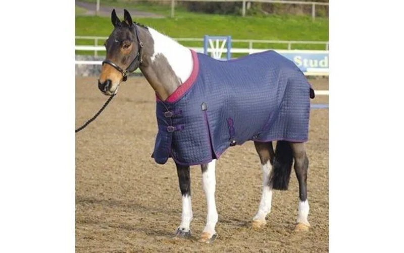 Westbourne Rug