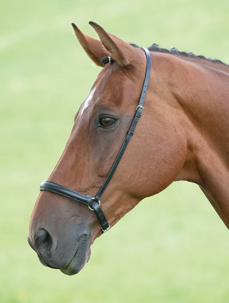 Velociti GARA Drop Noseband in Black