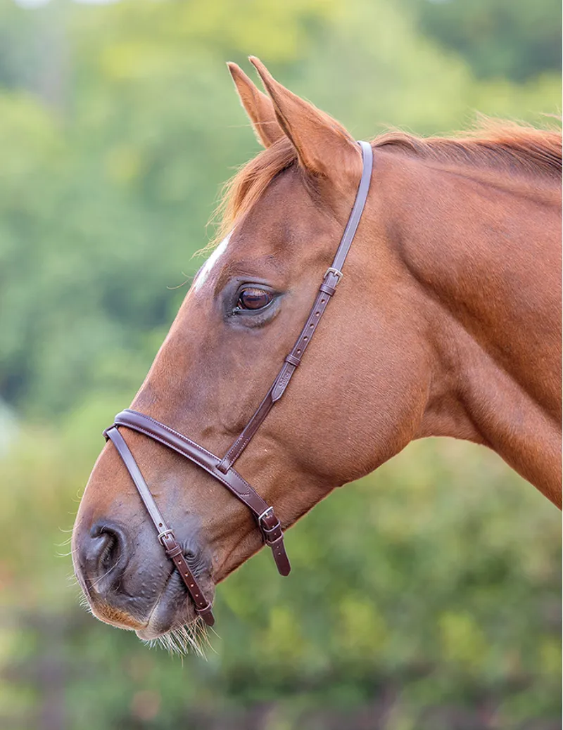 Velociti GARA Flash Noseband in Black