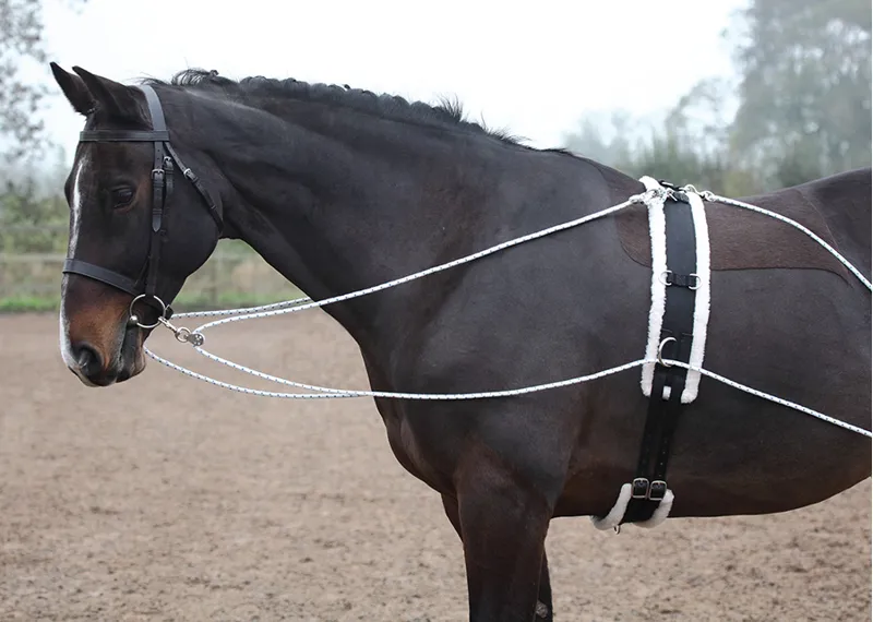 Shires Lunging Aid in Black-4