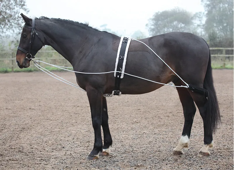 Shires Lunging Aid in Black-1