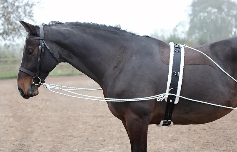 Shires Lunging Aid in Black-2